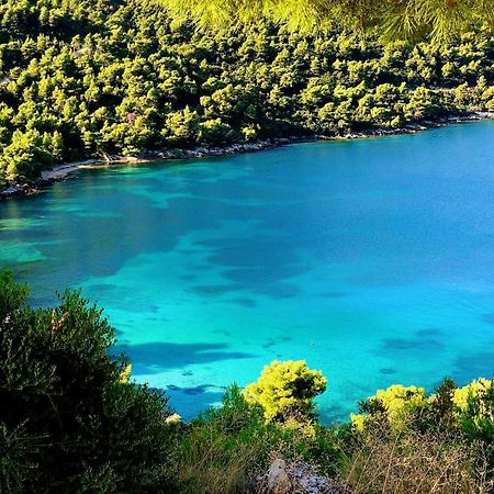 Villa Dora Zuljana Peljesac Croatia المظهر الخارجي الصورة